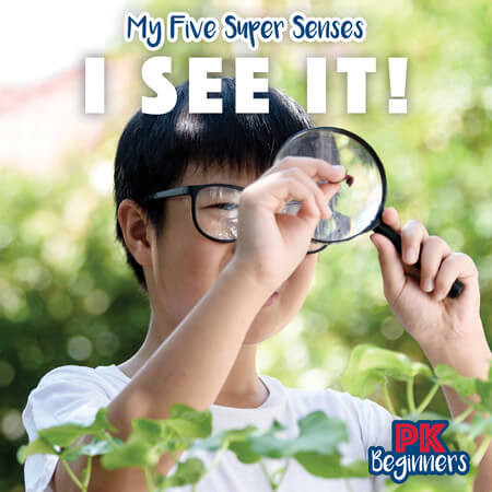 I See It! by Theresa Emminizer, 9781499443349