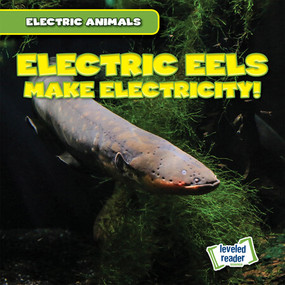 Electric Eels Make Electricity! by Louis Mallory, 9781538292938