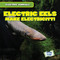 Electric Eels Make Electricity! by Louis Mallory, 9781538292938
