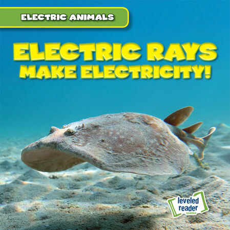 Electric Rays Make Electricity! - 9781538292976 by Louis Mallory, 9781538292976