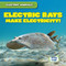Electric Rays Make Electricity! - 9781538292976 by Louis Mallory, 9781538292976