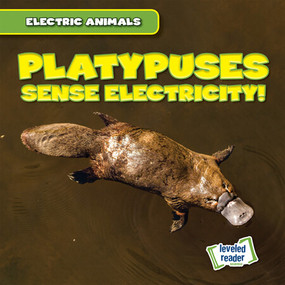 Platypuses Sense Electricity! by Louis Mallory, 9781538292990