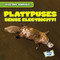 Platypuses Sense Electricity! by Louis Mallory, 9781538292990