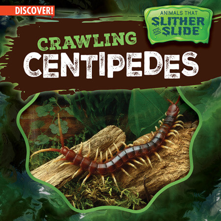 Crawling Centipedes - 9781978537293 by Theresa Emminizer, 9781978537293