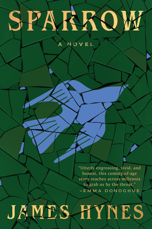 Sparrow (A Novel) by James Hynes, 9781419771248