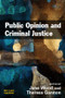 Public Opinion and Criminal Justice (Context, Practice and Values) - 9781843924005 by Jane Wood, Theresa A. Gannon, 9781843924005