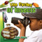 Life Cycles of Insects by Molly Aloian, 9780778712787