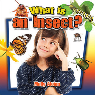 What Is an Insect? by Molly Aloian, 9780778712794