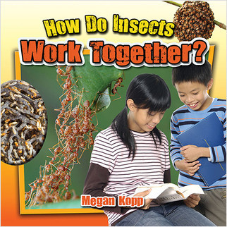 How Do Insects Work Together? - 9780778719762 by Megan Kopp, 9780778719762