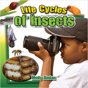Life Cycles of Insects - 9780778712824 by Molly Aloian, 9780778712824
