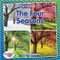 The Four Seasons - 9780778761884 by Crystal Sikkens, 9780778761884