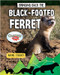 Bringing Back the Black-Footed Ferret by Rachel Stuckey, 9780778763123