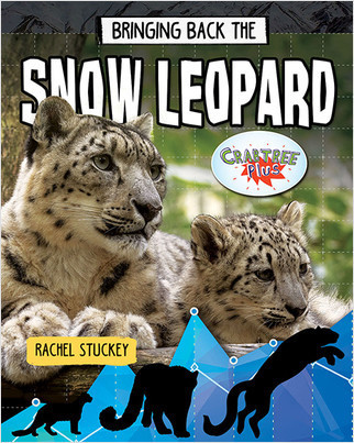 Bringing Back the Snow Leopard by Rachel Stuckey, 9780778763239
