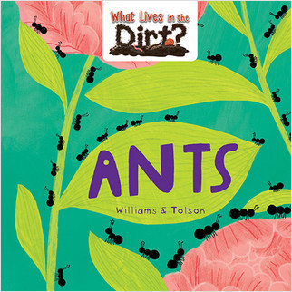 Ants - 9780778773863 by Susie Williams, Hannah Tolson, 9780778773863