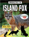 Bringing Back the Island Fox by Rachel Stuckey, 9780778768197