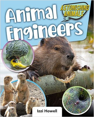 Animal Engineers by Izzi Howell, 9780778769309