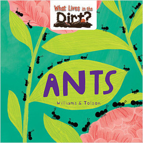 Ants - 9780778773955 by Susie Williams, Hannah Tolson, 9780778773955