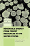 Renewable Energy from Forest Resources in the United States - 9780415782531 by Barry Solomon, Valerie A. Luzadis, 9780415782531