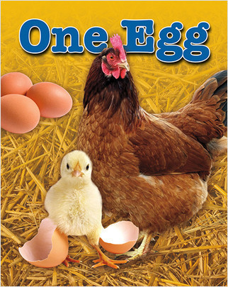 One Egg by Louise Spilsbury, 9780778778479