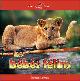 Les bébés félins (Baby Cats) by Bobbie Kalman, 9782895797548