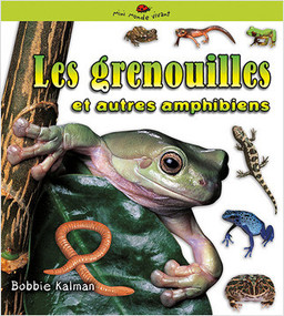 Les grenouilles et autres amphibiens (Frogs and other Amphibians) by Bobbie Kalman, 9782895793199