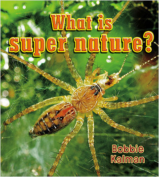 What is super nature? - 9780778733072 by Bobbie Kalman, 9780778733072