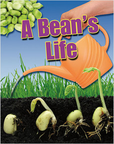 A Bean's Life by Angela Royston, 9780778778622
