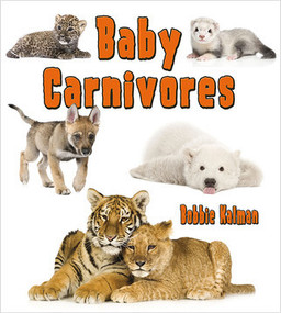 Baby Carnivores - 9780778710158 by Bobbie Kalman, 9780778710158