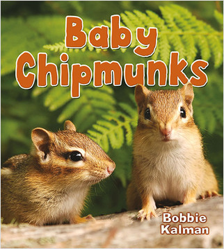Baby Chipmunks by Bobbie Kalman, 9780778748922