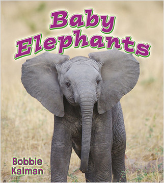 Baby Elephants - 9780778739593 by Bobbie Kalman, 9780778739593