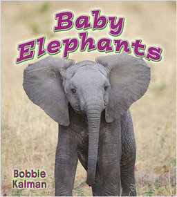 Baby Elephants - 9780778739784 by Bobbie Kalman, 9780778739784
