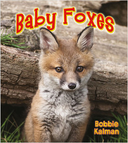 Baby Foxes - 9780778739609 by Bobbie Kalman, 9780778739609