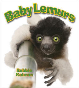 Baby Lemurs - 9780778748939 by Bobbie Kalman, 9780778748939