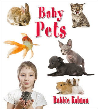 Baby Pets by Bobbie Kalman, 9780778740759