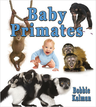Baby Primates - 9780778710110 by Bobbie Kalman, 9780778710110