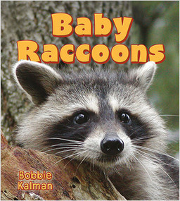Baby Raccoons - 9780778739821 by Bobbie Kalman, 9780778739821