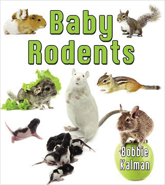 Baby Rodents - 9780778710141 by Bobbie Kalman, 9780778710141