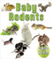 Baby Rodents - 9780778710141 by Bobbie Kalman, 9780778710141