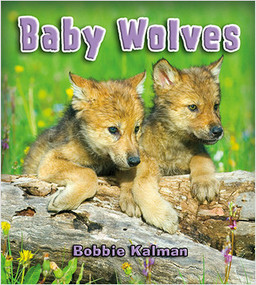 Baby Wolves - 9780778748953 by Bobbie Kalman, 9780778748953