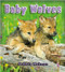 Baby Wolves - 9780778749004 by Bobbie Kalman, 9780778749004