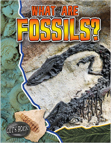 What Are Fossils? by Natalie Hyde, 9780778772149