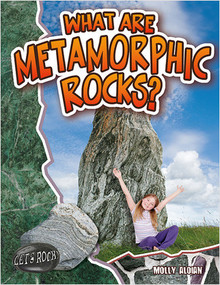 What Are Metamorphic Rocks? - 9780778772347 by Molly Aloian, 9780778772347