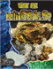 What Are Minerals? - 9780778772200 by Natalie Hyde, 9780778772200