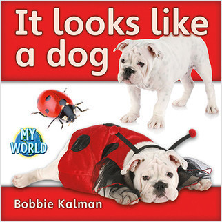 It looks like a dog by Bobbie Kalman, 9780778795469