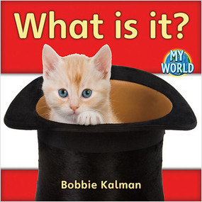 What is it? - 9780778795728 by Bobbie Kalman, 9780778795728