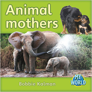 Animal mothers by Bobbie Kalman, 9780778795803
