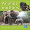 Animal mothers by Bobbie Kalman, 9780778795803