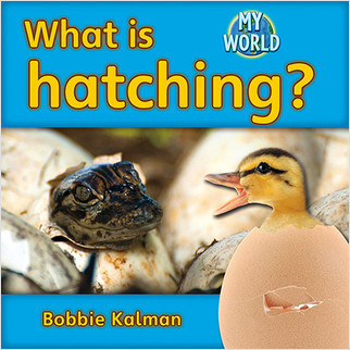What is hatching? - 9780778795346 by Bobbie Kalman, 9780778795346