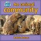 An animal community by Bobbie Kalman, 9780778794905