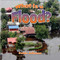 What Is a Flood? by Robin Johnson, 9780778724278